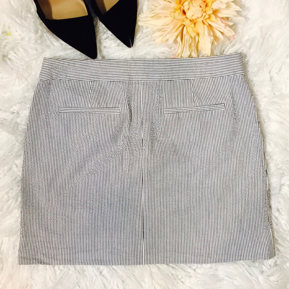 J.Crew Navy Blue & White Stripe Skirt - Picture 3 of 4